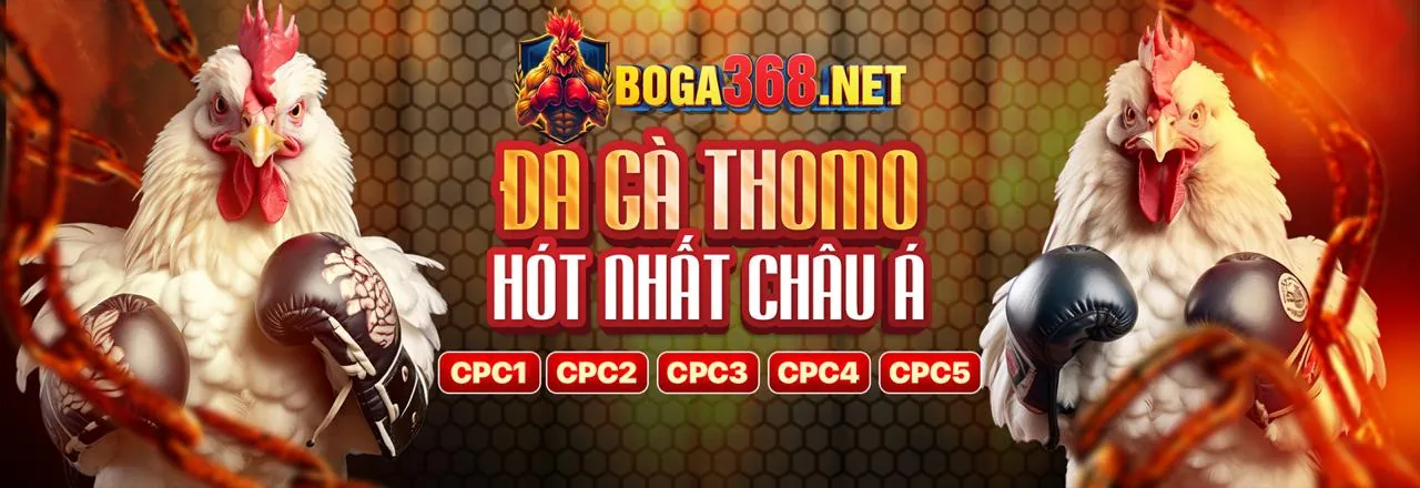 Hình ảnh chính trang blog GD86